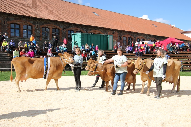 Eesti maakari Tõuloom 2021 näitusel